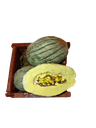 MELON