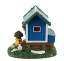 BACKYARD CHICKEN COOP