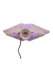 12.2" PRE-LIT WHITE GLITTER IRIDESCENT STAR TREETOP