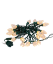 25L PEARL C7 WARM WHITE LED GRN WIRE