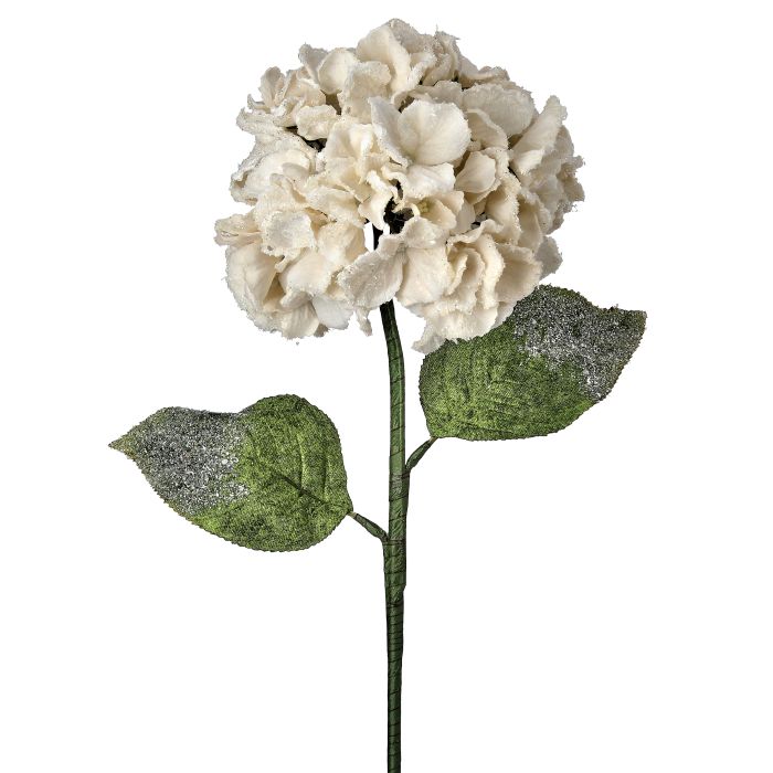 26"SNOW EDGED VELVET HYDRAGNEA STEM - IVOR