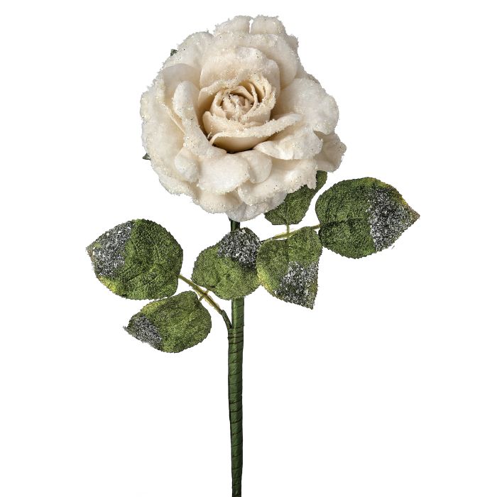 25"SNOW EDGED VELVET ROSE STEM