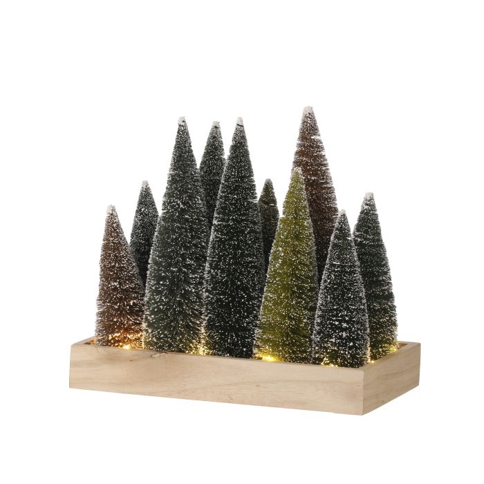 10" LED/BTY/TMR FOREST SISAL TREE GROVE/CRATE