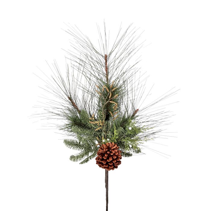 30" LONG NEEDLE/CEDAR / CONE SPRAY