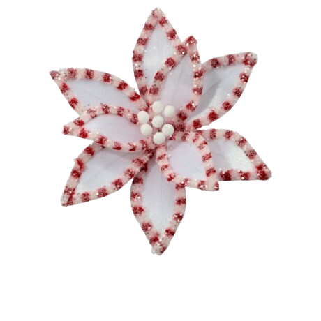 22" CANDY W/SNOWGLITTER POINSETTIA STEM