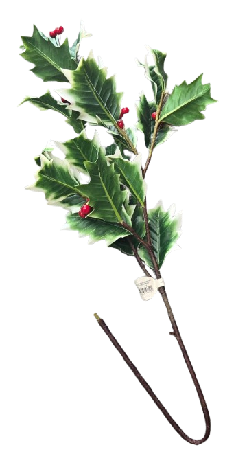 32"NATURAL TOUCH VARIGATED HOLLY BERRY SPRAY