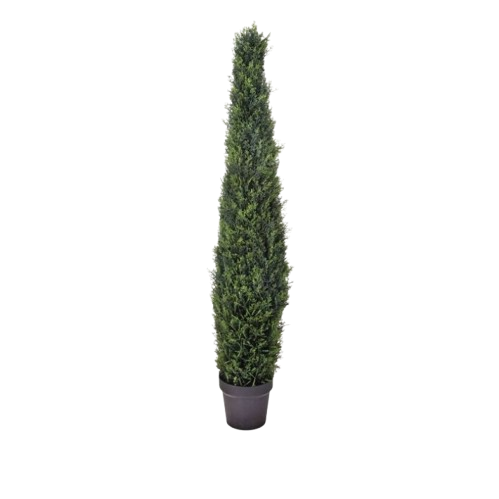 PTD.PL.UV TREAT CYPRESS CONE TOPIARY 48´´