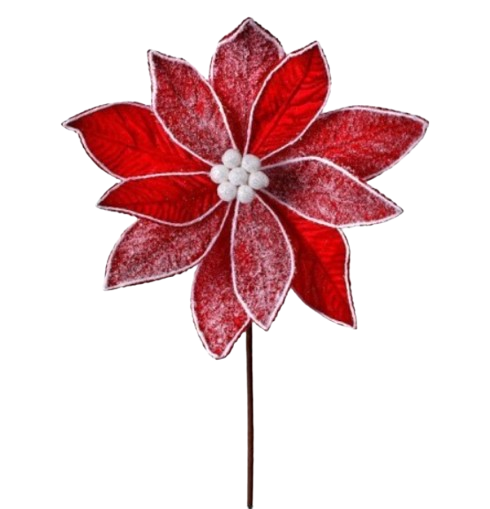 28´´FROST VELVET POINSETTIA STEM