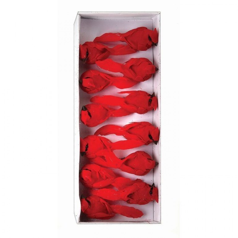 MINI CARDINAL 3.5", BOX OF 12,ACETATE