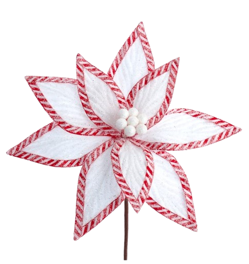 14"FROSTED VELVET WHITE POINSETTIA WCANDY BORDER.