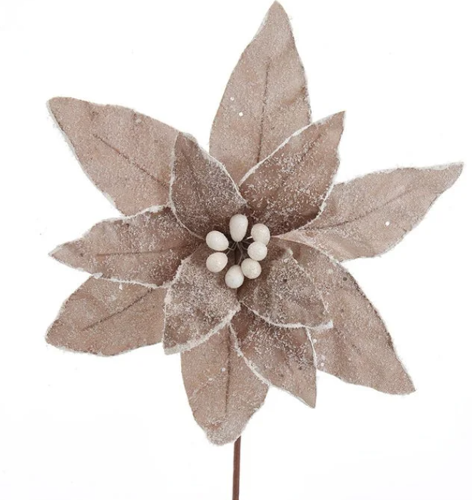 14"FROSTED PLATINUM POINSETTIA. 