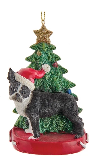 4.25´´RES BOSTON TERRIER W/XMAS TREE