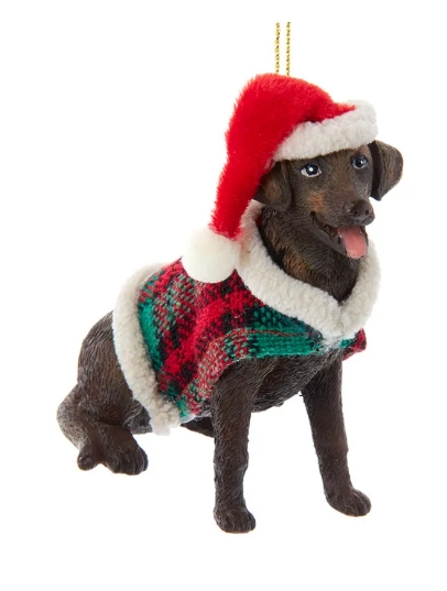 3.5" CHOCOLATE BROWN LABRADOR W/COAT