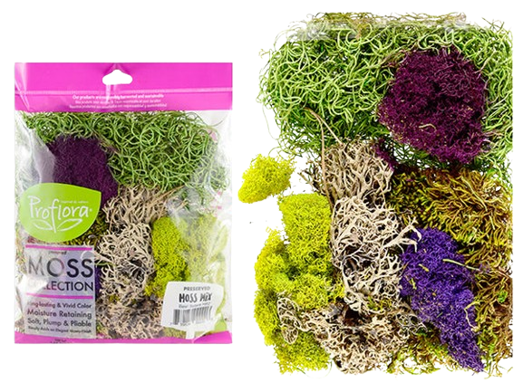 XMAS PRESERVED MOSS MIX FOR NATIVITY SCENES 