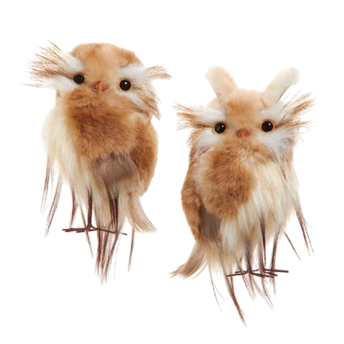 5"CREAM/BROWN OWL ORN 2ASSTD