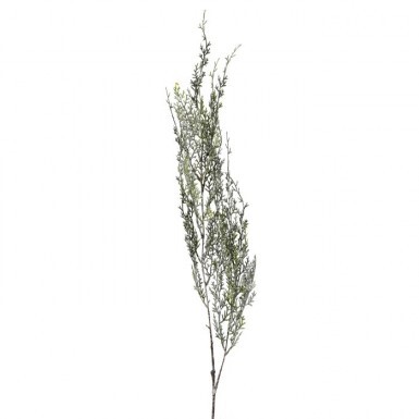 45" FROSTED HANGING FLAT CEDAR SPRAY