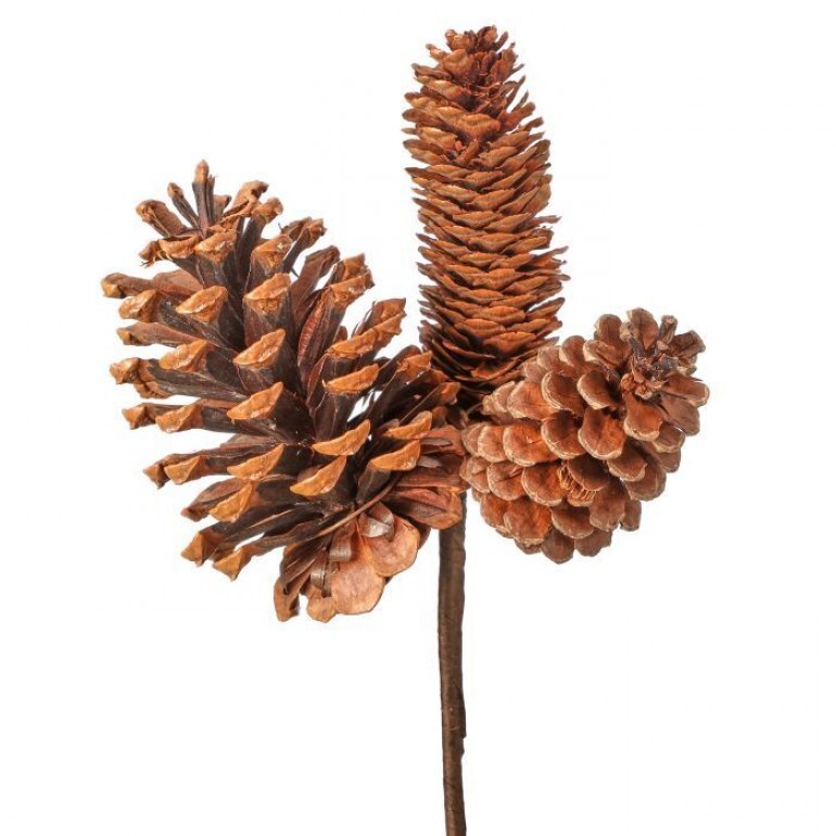 11" NATURAL MIXED CONE X3 PICK 