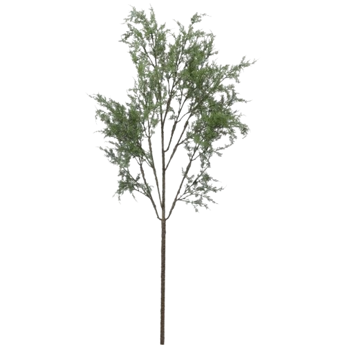 63" NATURAL CEDAR TREE BRANCH
