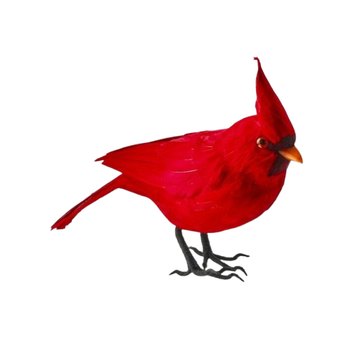 15" RED FEATHER CARDINAL