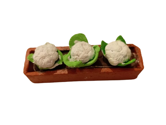 COLIFLOR