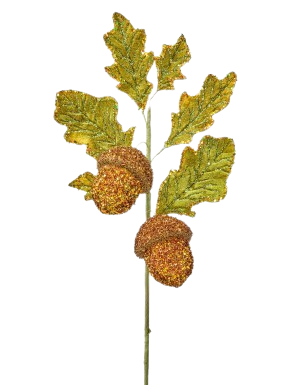 18"GLITTER BEADED ACORN SPRAY X2 BRGD