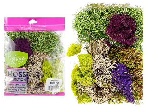 [XM37034] XMAS PRESERVED MOSS MIX FOR NATIVITY SCENES 