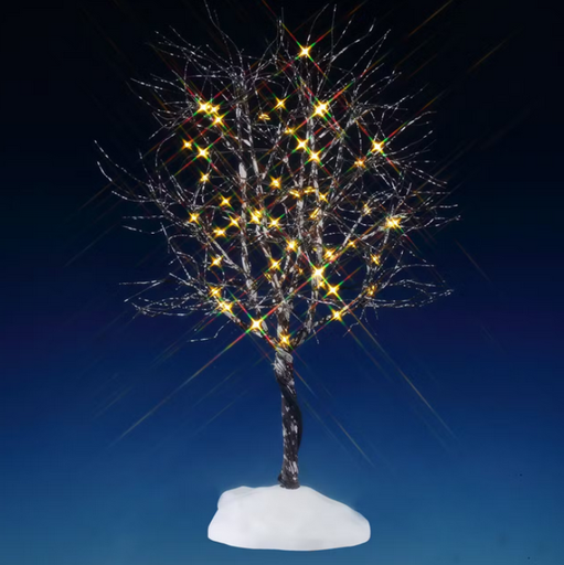 [54523] BUTTERNUT TREE, CLEAR LIGHT