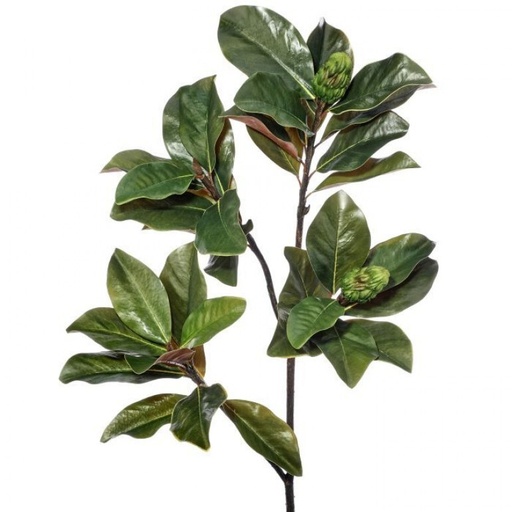 [MTX63407] 44" GRAND MAGNOLIA LEAF BRANCH W/PODS 