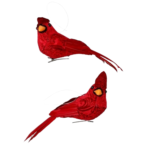 [MTX75844] 7-7.5" FEATHER RED CARDINAL
