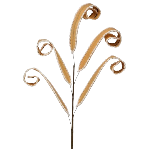 [MTX75881] 32" FELT W/PIPING CURL SPRAY - BROWN WHITE