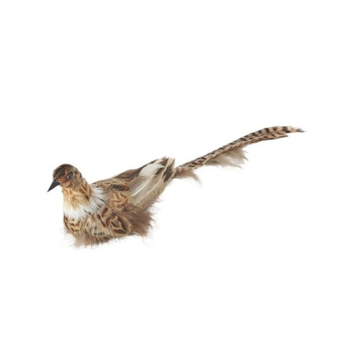 [MTX74029] 11" FEATHER QUAIL ORNAMENT W/CLIP