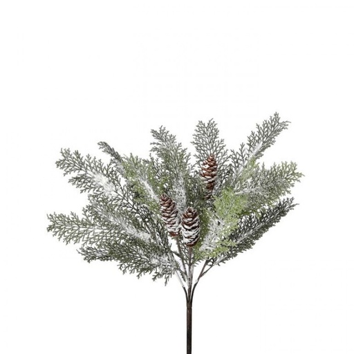 [MTX74516] 19" PL WINTER ACACIA W/CONE BUSH