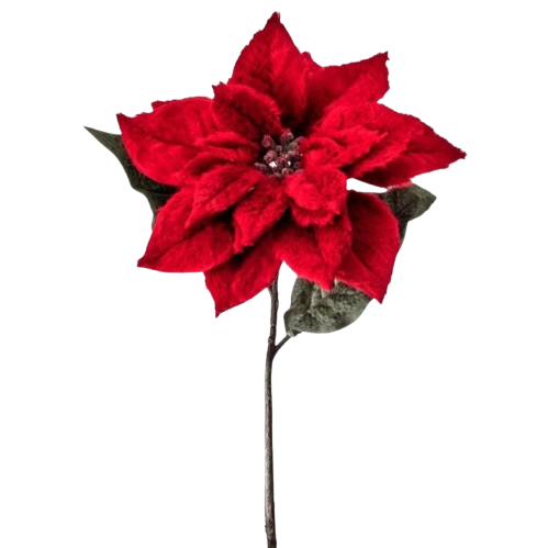 [MTX77007RED] 28" FUR VELVET POINSETTIA - RED 