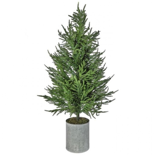 [MTX63875] 50´´POTTED NAT TCH NORFOLK PINE TREE