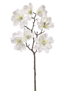 [MTX79326] 21"WINTER ICED MAGNOLIA BRANCH X7