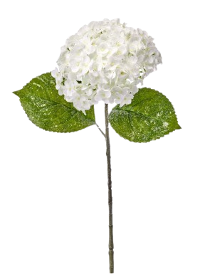 [MTX79327] 22"WINTER ICED HYDRANGEA STEM WHT