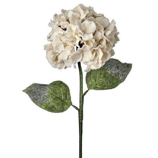 [MTX74465IVOR] 26"SNOW EDGED VELVET HYDRAGNEA STEM - IVOR