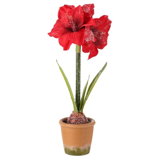 [MTX73770] 15" FROSTED POTTED MINI AMARYLIS