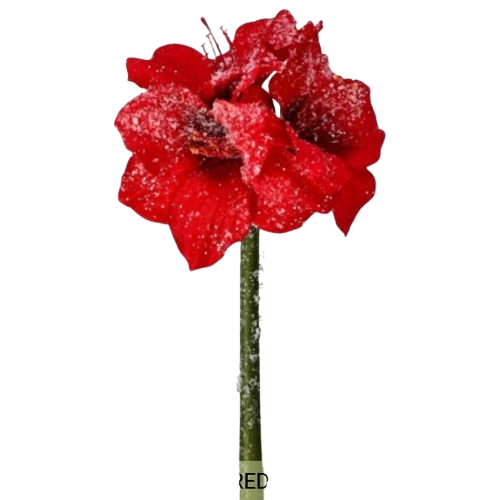 [MTX73768RED] 16" FROSTED MINI AMARYLIS STEM - RED