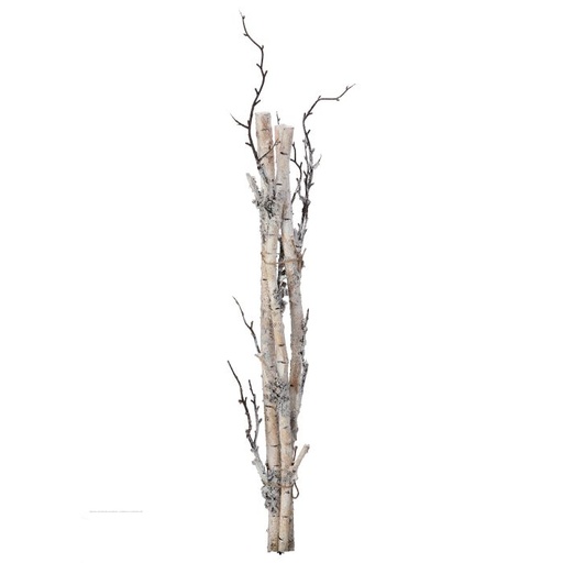[MTX73257] 28" FROST WINTER BIRCH BUNDLE
