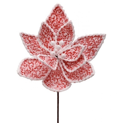 [MTX70688RDWH] 24" SWEATER PATTERNED POINSETTIA STEM - RDWH