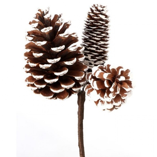 [MTX62975] 11" WHITE TIPPED MIXED CONE X3 PICK 