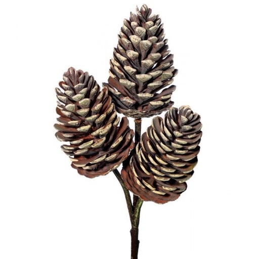 [MTX65813] 12" PLASTIC PINE CONE X3 PICK 