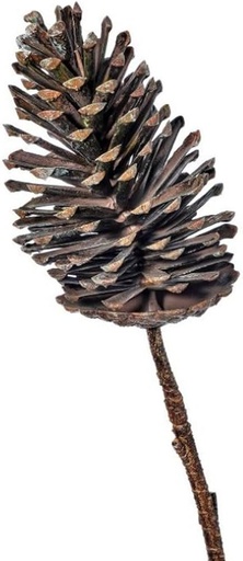 [MTX65794] 29" PLASTIC 8" PINE CONE ON BRANCH 