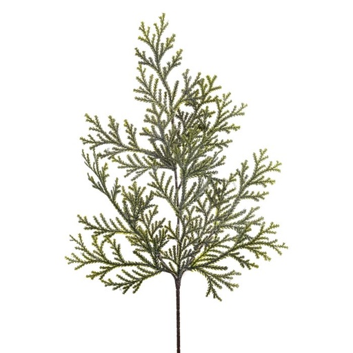 [MTX51970] 21" FROSTED LYCOPODIUM SPRAY