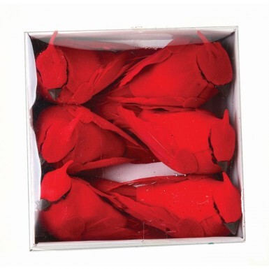 [MTX45887] MINI CARDINAL 4", BOX OF 6, ACETATE