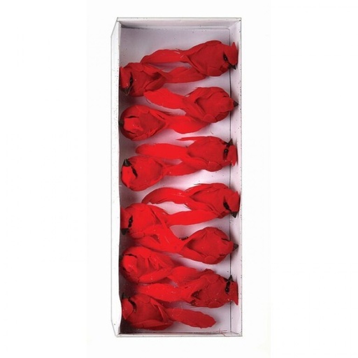 [MTX45886] MINI CARDINAL 3.5", BOX OF 12,ACETATE