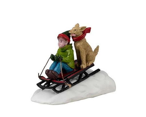 [42351-A2528] DOGGONE DOWNHILL SLEDDING